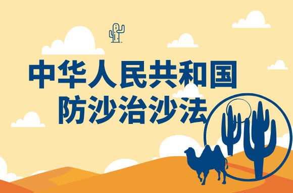 政策解读