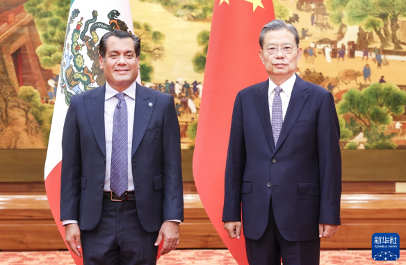 赵乐际同墨西哥众议长古铁雷斯举行会谈 赵乐际同墨西哥众议长古铁雷斯举行会谈