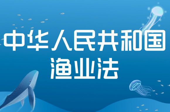 政策解读