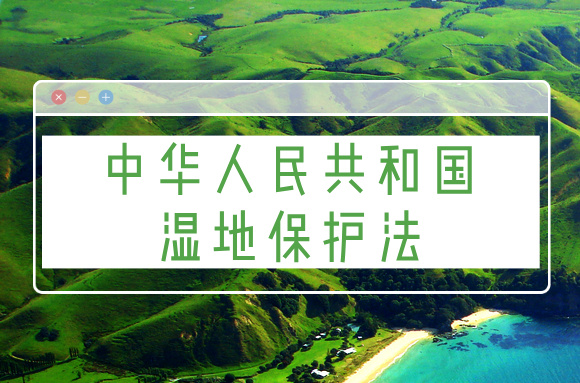 政策解读
