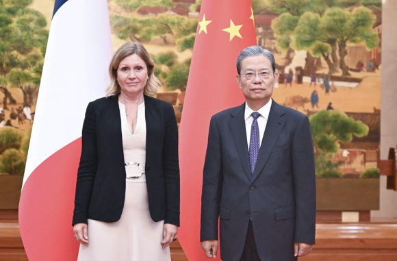 赵乐际同法国国民议会议长共同主持中国全国人大与法国国民议会交流机制第十二次会议 赵乐际同法国国民议会议长共同主持中国全国人大与法国国民议会交流机制第十二次会议