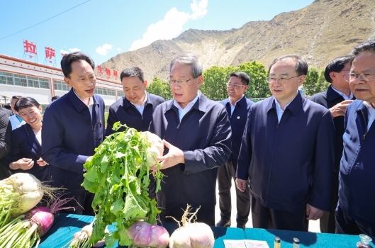 李强在西藏调研时强调:高质量实施国家重大工程项目 推动经济社会发展 增进各族人民福祉2 李强在西藏调研时强调:高质量实施国家重大工程项目 推动经济社会发展 增进各族人民福祉2
